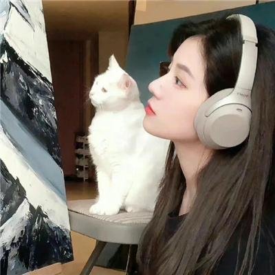从山上看